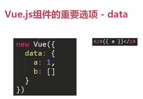 Vue.js组件