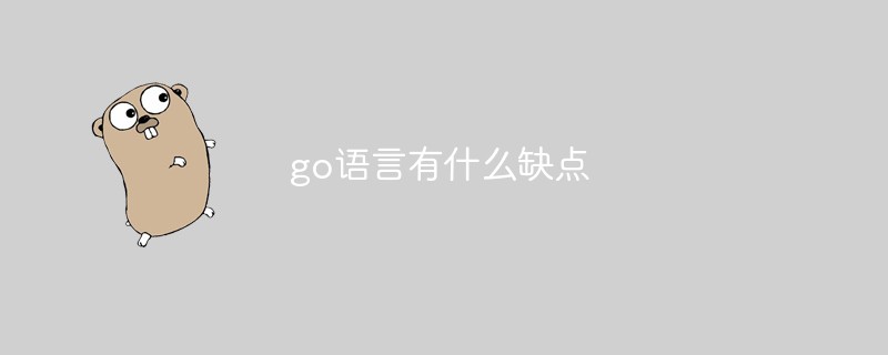 go语言有什么缺点